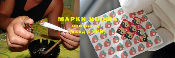 шишки Баксан