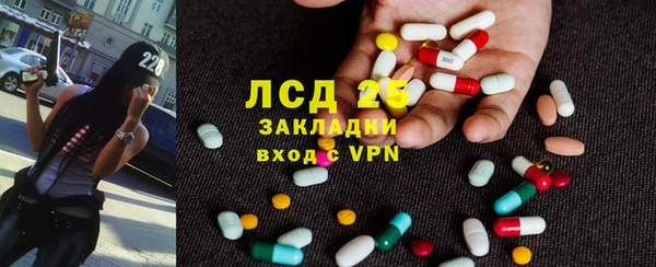 ПСИЛОЦИБИНОВЫЕ ГРИБЫ Балабаново