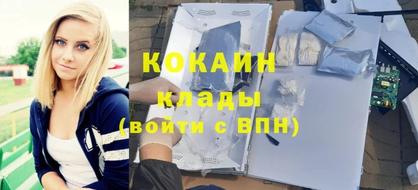шишки Баксан