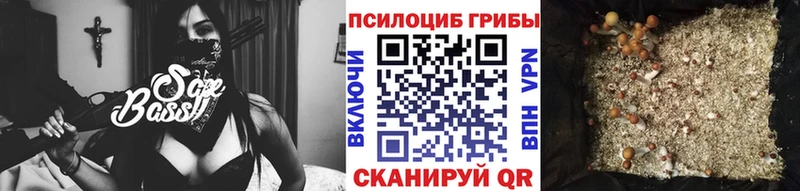 Псилоцибиновые грибы Psilocybe  площадка Telegram  Вольск 